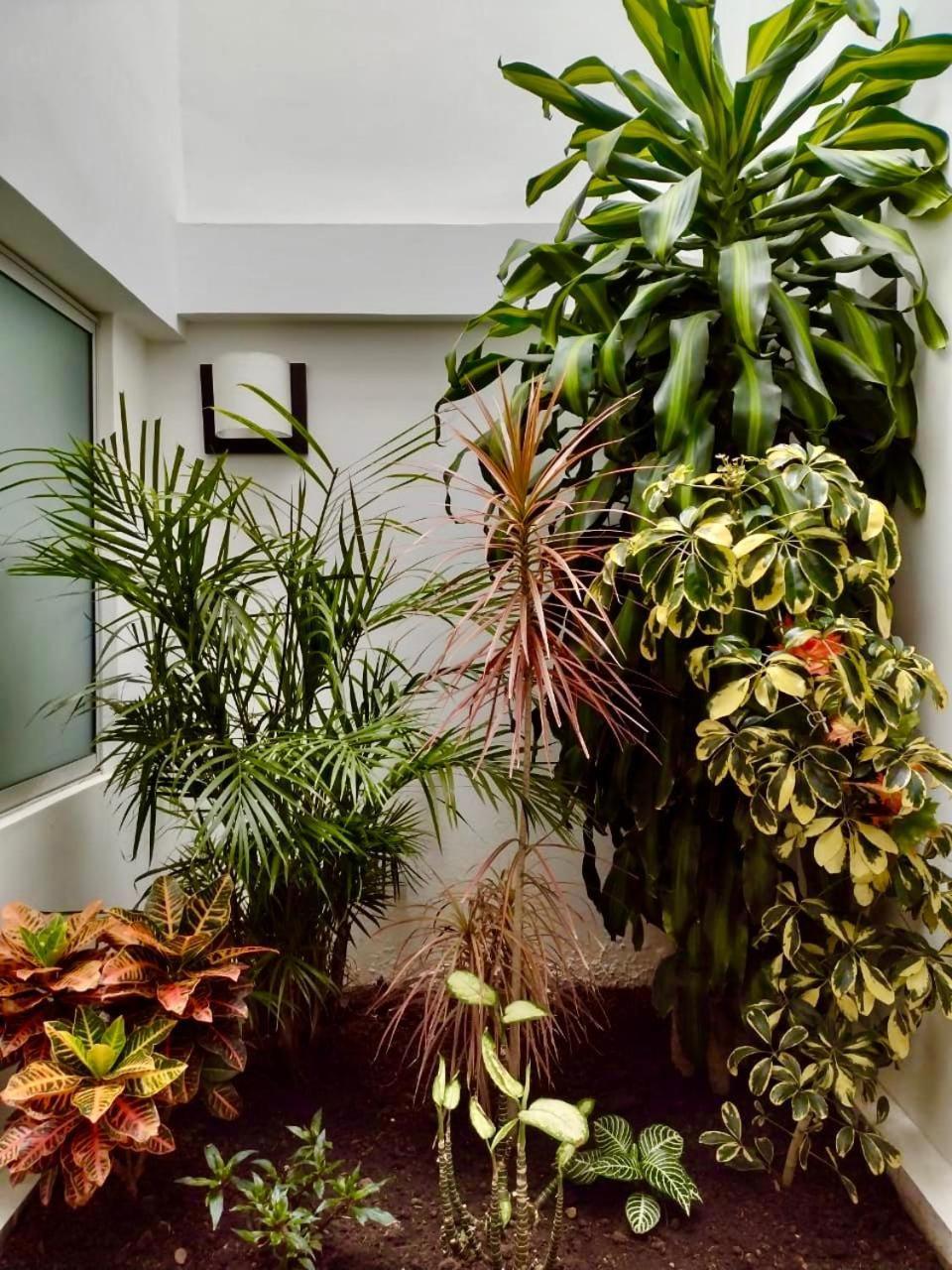 Hotel Jardin 38 باستو المظهر الخارجي الصورة