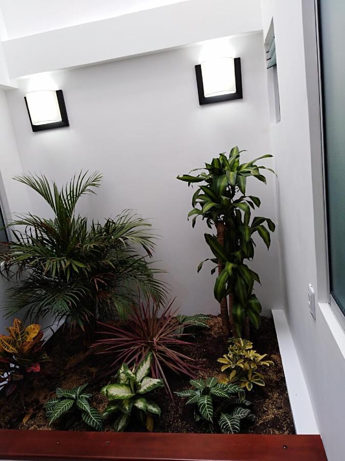 Hotel Jardin 38 باستو الغرفة الصورة